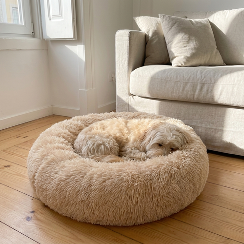Cama donut calmante numa sala – imagem ilustrativa gerada com IA