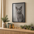 Poster emoldurado com o retrato de um gato British Shorthair cinzento