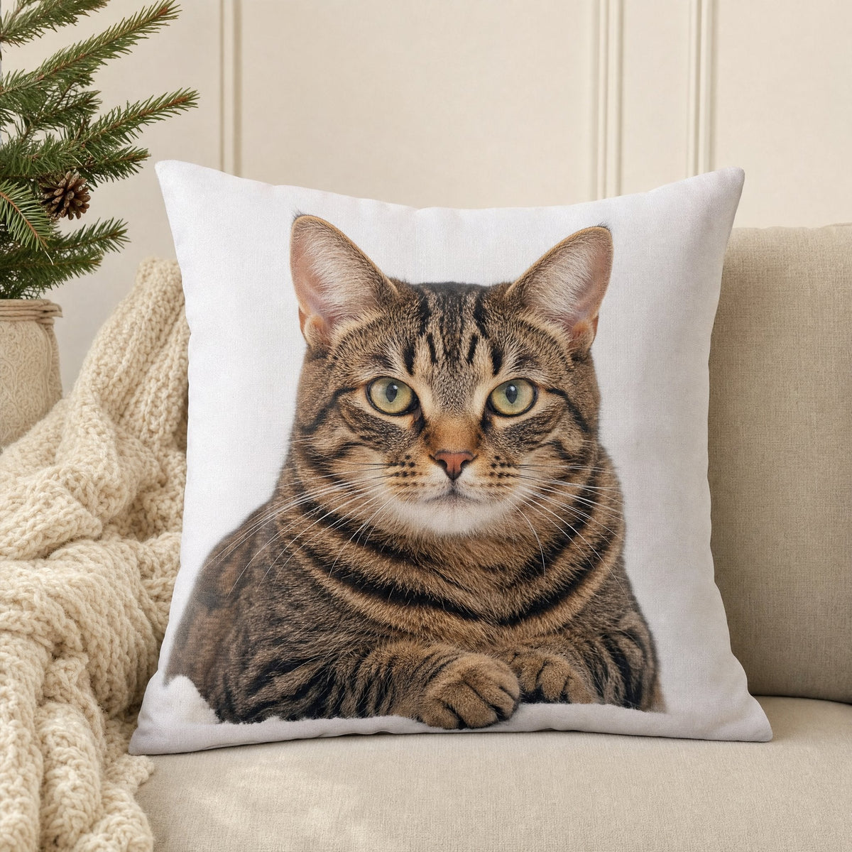 Almofada com a foto de um gato tigrado no sofá