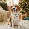 Beagle com bandana personalizada numa sala com árvore de Natal